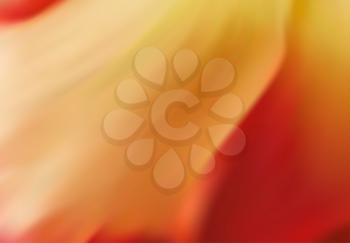 Abstract floral blur in shades of pink. Blurred red flower background for magazines and booklets, greeting cards.