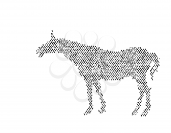 young horse in the steppe. Black silhouette of a horse. White background.