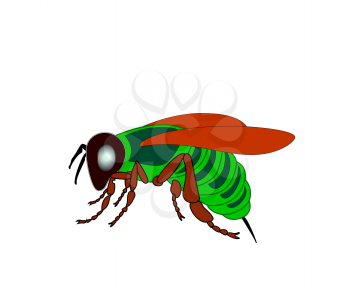 Cartoon fly, insect with bright colors. Housefly volume with shadow.