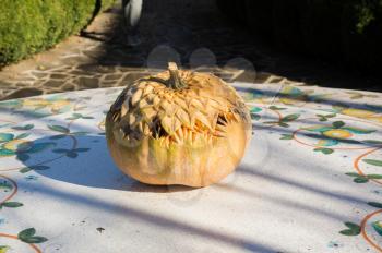 Festively carved pumpkin on an old vintage round table in the garden. Sunny autumn day.