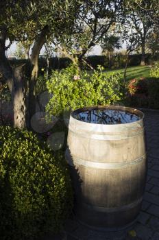 Vintage barrel with rain water. Stands in the shade of tall trees in the garden.