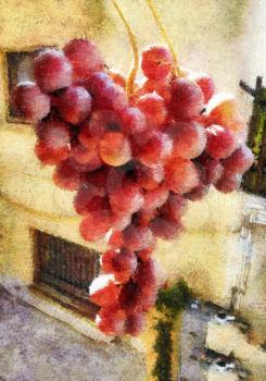 Grape big brush of red grapes. Juicy grapes glistens in the sun. Italian summer morning. The simulated watercolor drawing