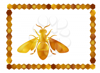 Golden honey bee uterus of summer day on white background.