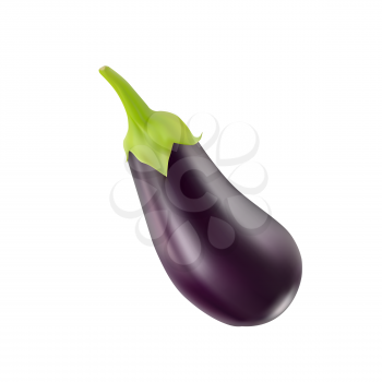 the Eggplant black  Isolated on white background