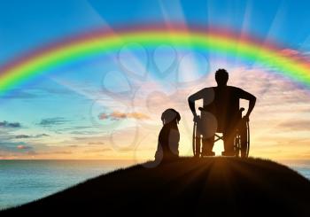 Disability. A disabled person in a wheelchair next to his dog on the background of the rainbow and sea sunset