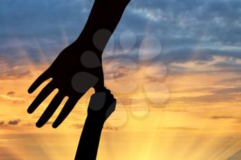 Family concept. Hands of the child and parent in the sunset background