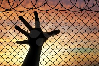 Concept of refugees. Silhouette hands refugee near the fence of barbed wire