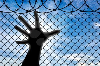 Concept of refugees. Silhouette hands refugee near the fence of barbed wire