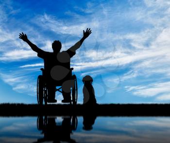 Concept of disability and disease. Silhouette happy disabled person in a wheelchair beside the dog and reflection in water