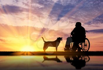 Concept of disability and old age. Silhouette of disabled person in a wheelchair with his dog at sunset and reflection in water