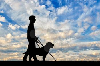Blind disabled with cane and dog guide walking day. Concept help blind disabilities