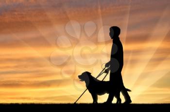 Blind disabled with cane and dog guide walking sunset. Concept help blind disabilities