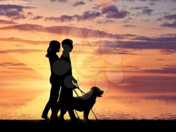 Blind people disabilities with cane and dog guide walking on sea sunset. Concept help blind people disabilities
