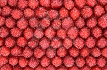 Heap of ripe raspberries. Background texture close-up