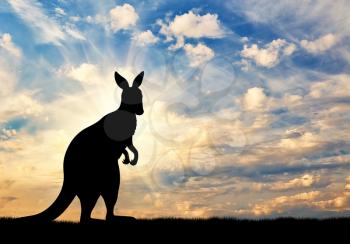 Kangaroo silhouette against a beautiful sky