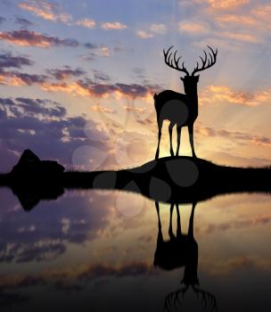 Silhouette of deer on the waterfront at sunset