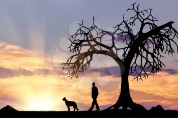 Silhouette of a man walking with a dog near a tree at sunset