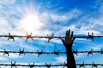 Concept of refugee. Silhouette helping hand to a refugee background fence of barbed wire