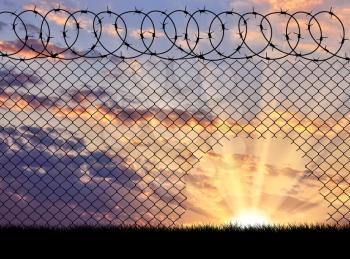 Concept of the refugees. Silhouette of a hole in the barbed wire fence at sunset