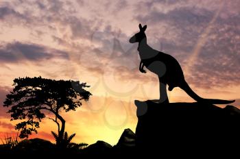 Silhouette of a kangaroo on a hill at sunset