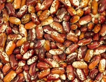 Seeds of colored beans. texture macro