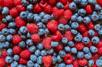Blueberries and raspberries. Texture background. design element