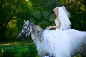  Concept of marriage and emotion. Bride on a horse in the forest