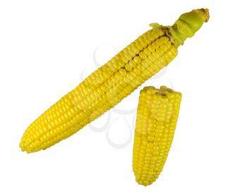 Fresh raw corn. Isolated on white background.