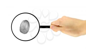 Security Concept. The fingerprint is considered under a magnifying glass