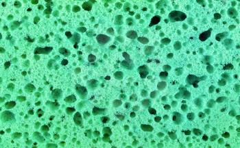 Green body sponge. Background texture