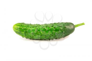 Fresh cucumber vegetable isolated on white background
