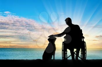 Silhouette of a disabled man in a wheelchair stroking his dog off the seashore. The concept of the way of life of people with disabilities