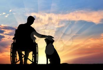 Silhouette of a disabled man in a wheelchair stroking his dog on a sunset background. The concept of the way of life of people with disabilities