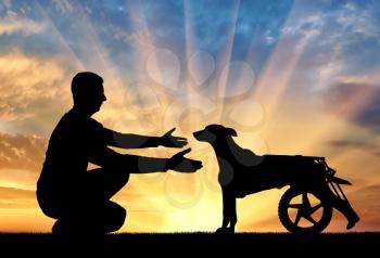 Man outdoors on a hill, calls for a paralyzed dog in a wheelchair. Concept of helping pets