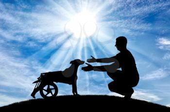 Man in the open air on a hill, calls for a paralyzed dog in a wheelchair. The concept of a dog in a wheelchair