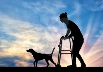 Silhouette of a disabled woman walking with a dog, uses a walker. The concept of the elderly and disabled