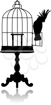Silhouette of a large round birdcage, standing on the coffee table. Cockatoo sits on the door open cage.