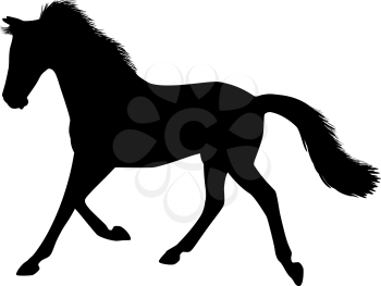 Silhouette of a running horse. There is a variant in a vector.