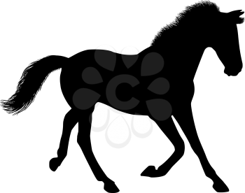 Silhouette of a running horse. There is a variant in a vector.