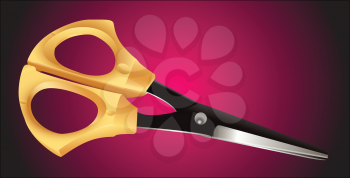 Graceful scissors for needlework - a close up.