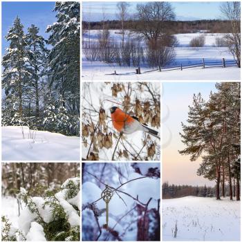 Beautiful winter collage of six different photos.