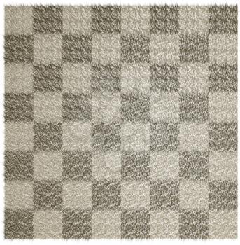 Wool blanket in the checkered white background.