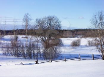 Beautiful winter landscape with trees and a wooden fence.