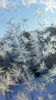 Photos of beautiful frost pattern on a window glass.