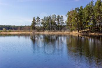 Lake landscape with pine trees on the Peninsula on a clear spring day.