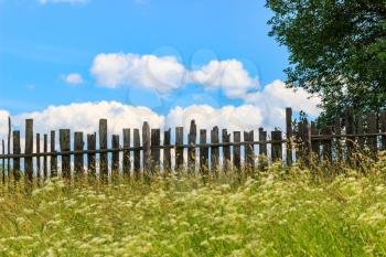 Landscape with an old fence, blue sky with clouds and wild herbs.