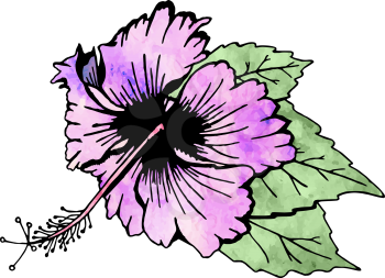 Hibiscus flower with leaves. Pink flower, watercolor, stained glass fill. Drawn by hand. Isolated on white. There is an option in the vector.