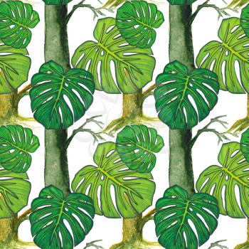 Seamless background. Watercolor trees and monstera leaves, drawn with colored pencils. Isolated on white. Design for card, poster or wallpaper.