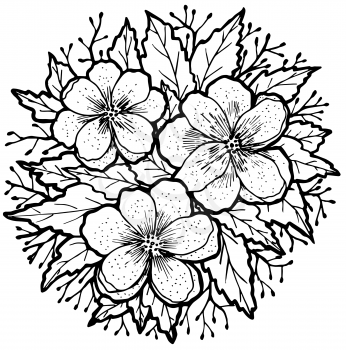 Flowers. vector, leaves, graphic monochrome contours. Realistic ink pen drawing. Drawn by hand. Isolated on white. Design for card, poster or wallpaper.