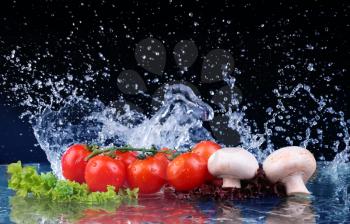 Salad, tomato and with water drop splash